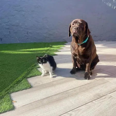 Casa Quetzal - Oaxaca